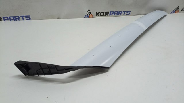 Захисна накладка переднього скла ліва Hyundai/Kia 86250P6000EBR ціна, від 103.00 USD