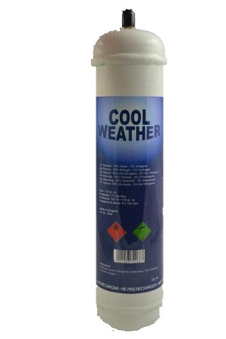 007950025890 Magneti Marelli 