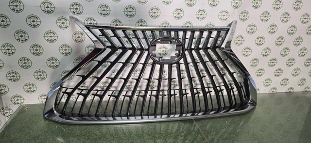 Купити 5310133A10 Toyota Захисна решітка радіатора