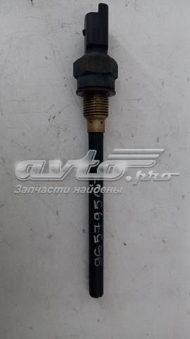 Купити 96579507 Peugeot/Citroen 