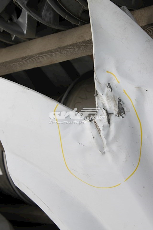 A6398800600 Mercedes Переднє ліве крило