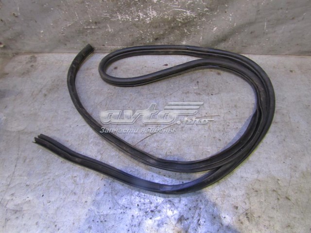 Ущільнювач двері передньої лівої (на двері) Hyundai/Kia 821104L000 ціна, від 49.54 USD