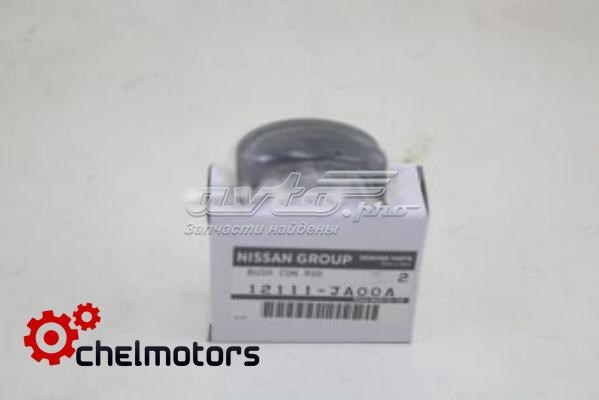 Nissan/Infiniti 12111JA00A