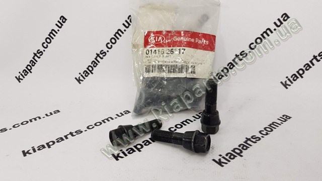 0141626117 Hyundai/Kia 