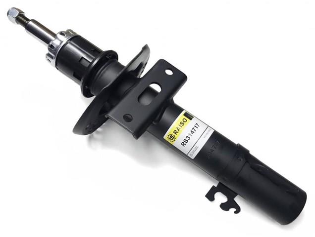 RS314717 Raiso Стійка передня