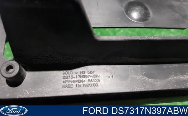 Купити DS7317N397ABW Ford 