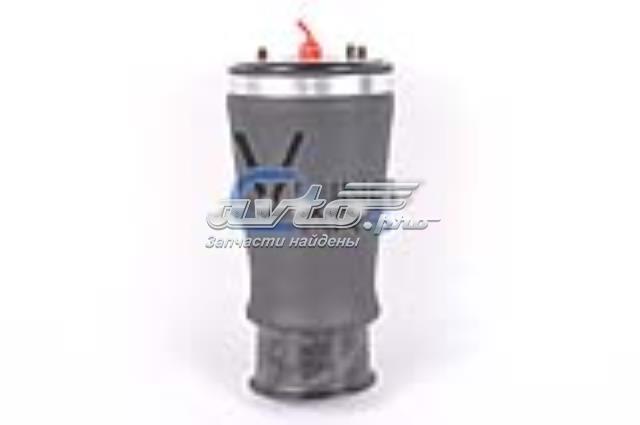 Пневморессора задня Tashiko AB927 ціна, від 80.29 USD