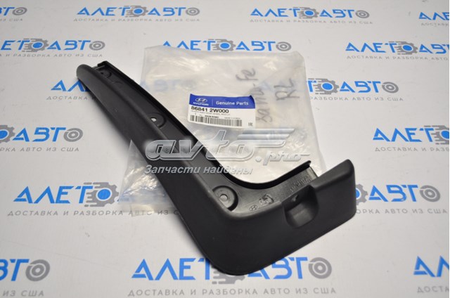 Бризковики задній, лівий Hyundai/Kia 868412W000 ціна, від 12.16 USD