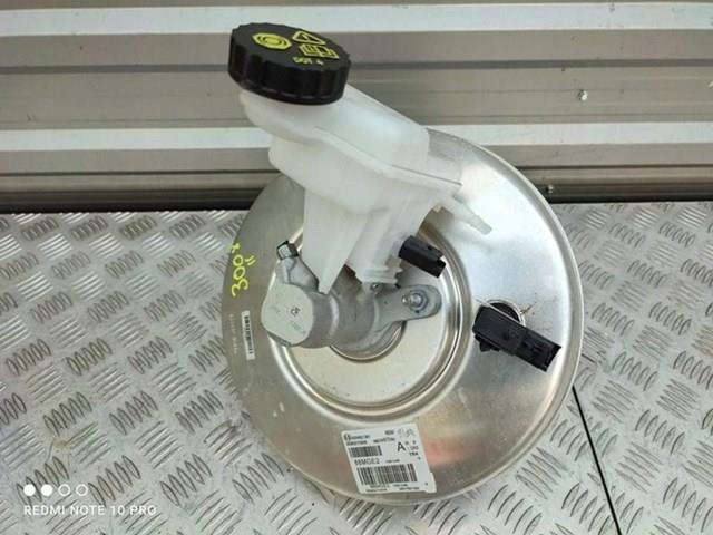 9807687080 Peugeot/Citroen