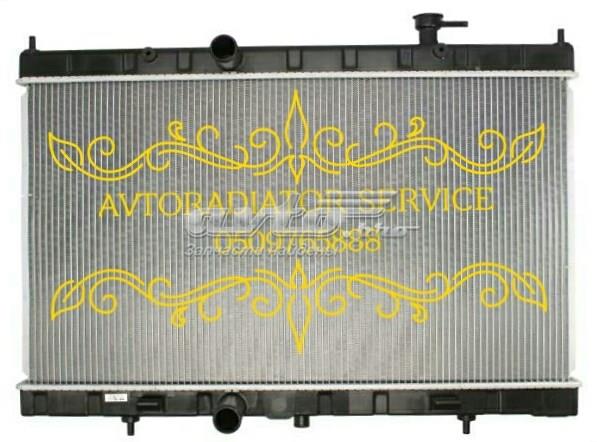214104BB0A Nissan/Infiniti Радіатор охолодження двигуна