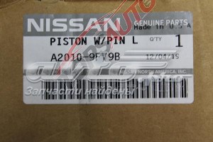  Nissan/Infiniti A20109FV9B