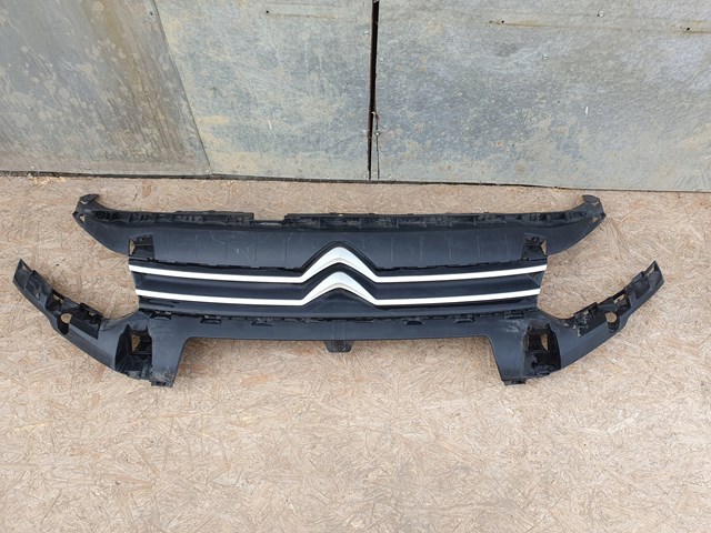 9816779080 Peugeot/Citroen Решітка радіатора