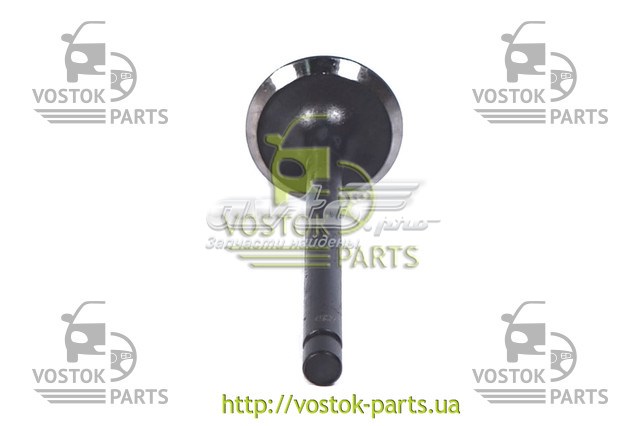YB007110 Chana Випускний клапан двигуна