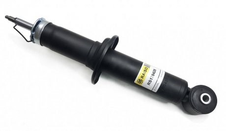 RS170428 Raiso Амортизатори задні
