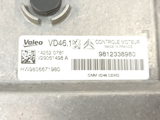 9812338980 Peugeot/Citroen 