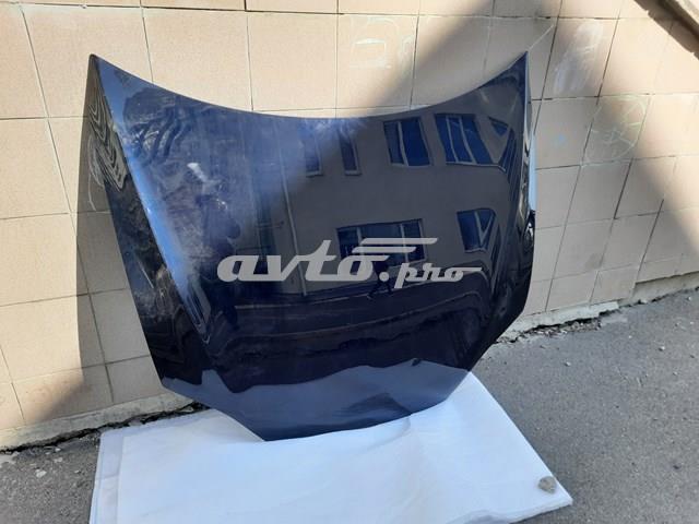 Капот Signeda PTS20003AQ