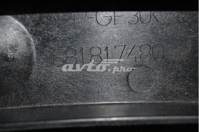  9681817480 Peugeot/Citroen