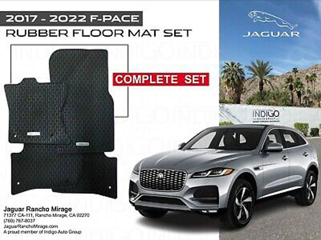  T4A5564 Jaguar