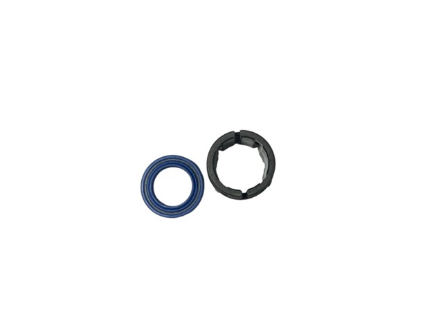 RV1001KIT MSG 