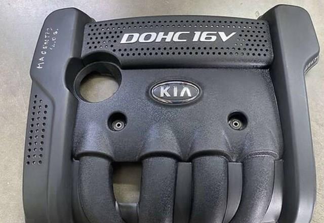Кришка двигуна декоративна Hyundai/Kia 2924025211
