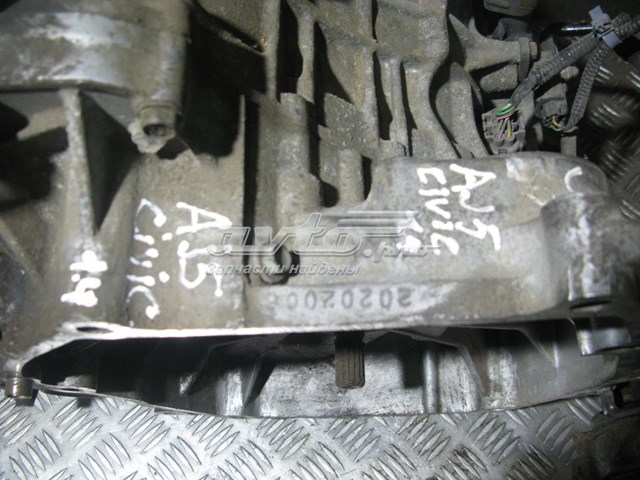 SPSA Honda 