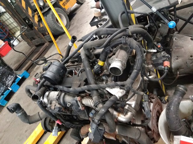 5801650455 Fiat/Alfa/Lancia 