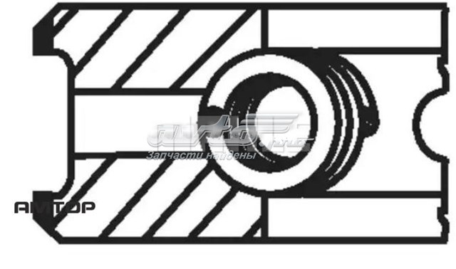 Купити 213RS100100N0 Mahle Original Кільця поршневі на 1 циліндр, STD.
