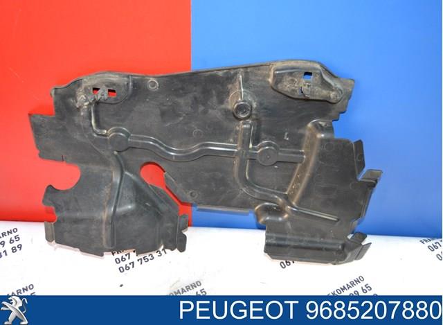 Купити 9685207880 Peugeot/Citroen 