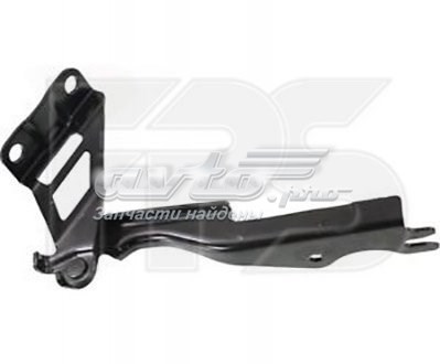 Завіса капота права FPS FP4422286 ціна, від 16.25 USD