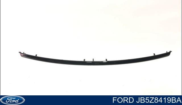 Купити JB5Z8419BPTM Ford 