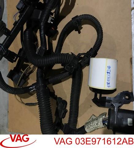 Джгут проводів моторного відсіку VAG 03E971612AB ціна, від 22.57 USD