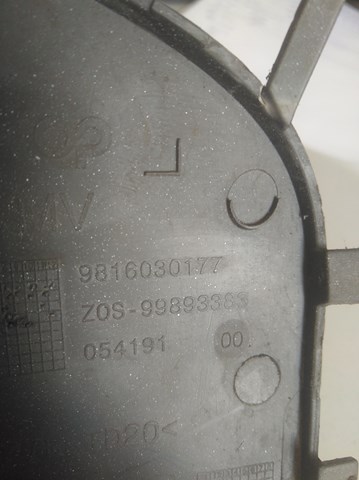  Peugeot/Citroen 9816030177