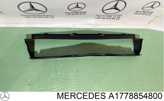 A1778854800 Mercedes 