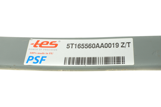 5T165560AA0019ZT TES 