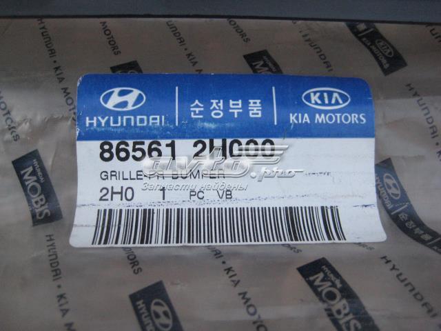 Решітка переднього бампера Hyundai/Kia 865612H000 ціна, від 44.48 USD