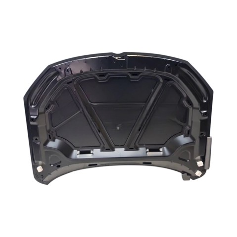 0515747280G Tempest Капот