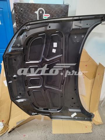 Капот 13D203 Polcar