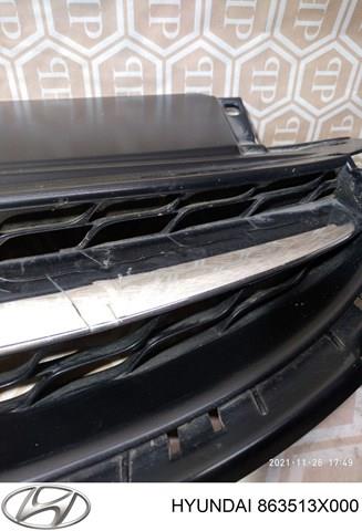 Купити 863513X000 Hyundai/Kia Захисна решітка радіатора