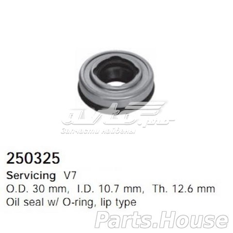 250325 Cargo 