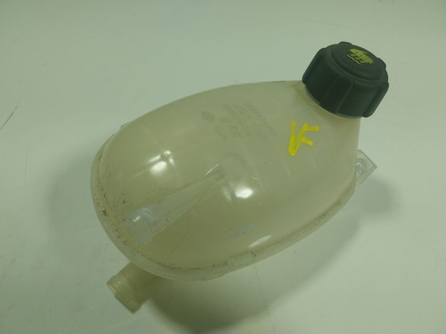 Бачок системи охолодження 217102572R Renault (RVI)