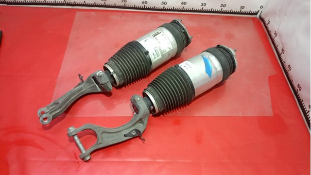 Купити 102736100G Tesla Motors Амортизатор передньої підвіски