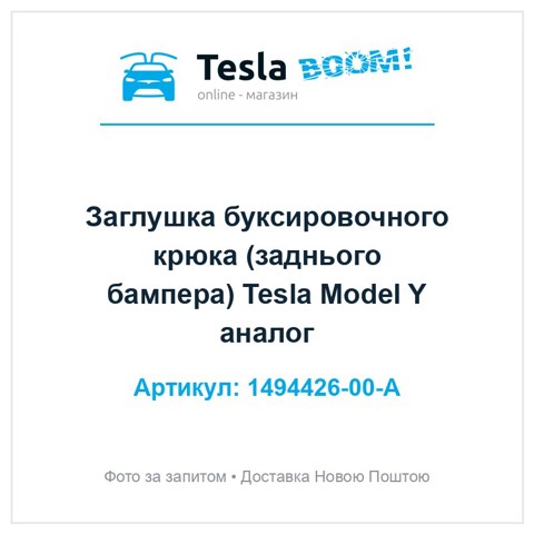 149442600A Tesla Заглушка бампера буксирувального гака, задня