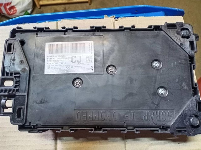 Купити FG9T15604 Ford 