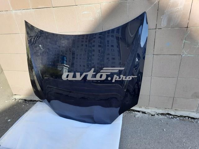 PTS20003AQ Signeda Капот