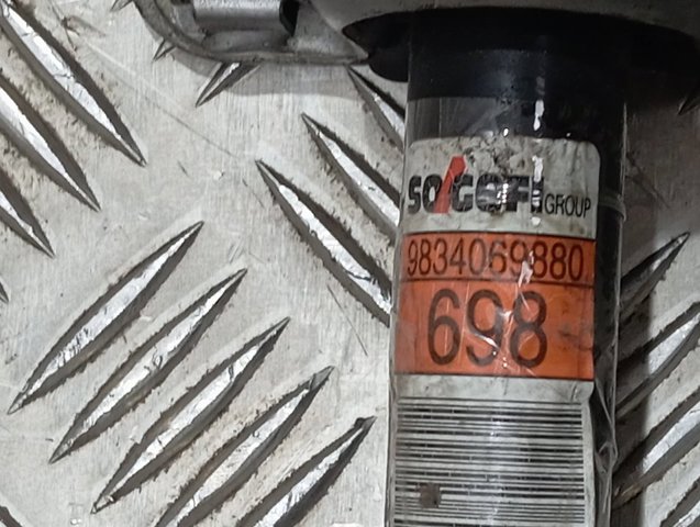9834069880 Peugeot/Citroen 
