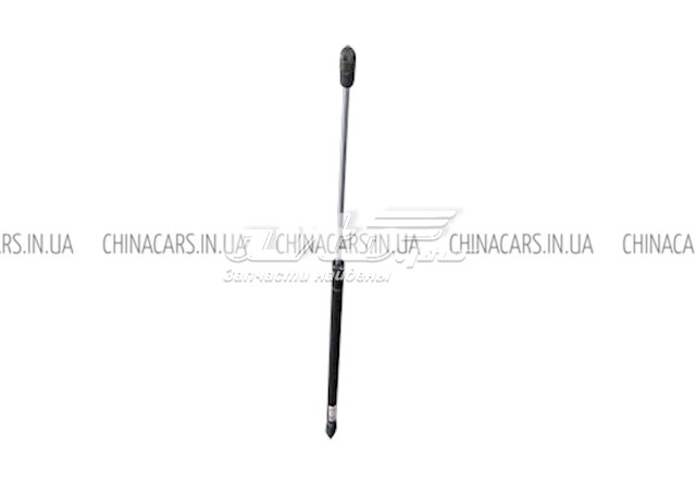 Амортизатор двері задньої Chery S125605011 ціна, від 4.23 USD