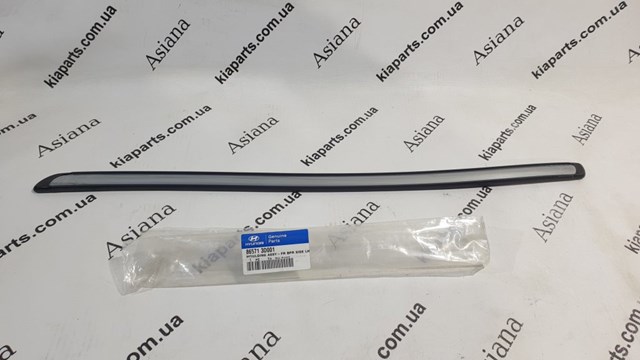  865713D001 Hyundai/Kia
