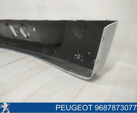 Купити 9687873077 Peugeot/Citroen 