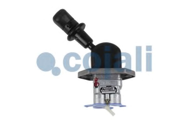  Cojali 2324202