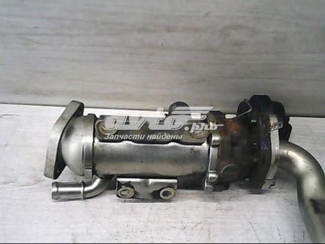  Renault (RVI) H8200340616 ціна, від 39.00 USD